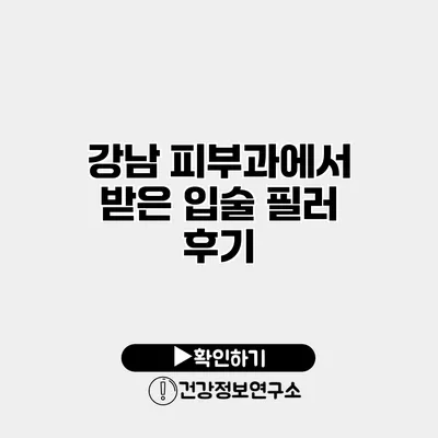 강남 피부과에서 받은 입술 필러 후기