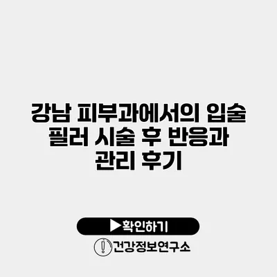 강남 피부과에서의 입술 필러 시술 후 반응과 관리 후기