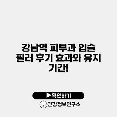 강남역 피부과 입술 필러 후기 효과와 유지 기간!