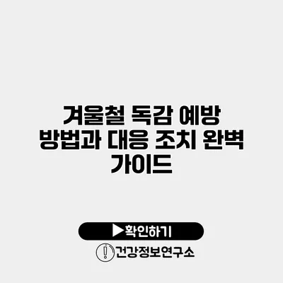 겨울철 독감 예방 방법과 대응 조치 완벽 가이드