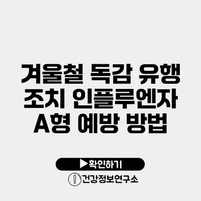겨울철 독감 유행 조치 인플루엔자 A형 예방 방법