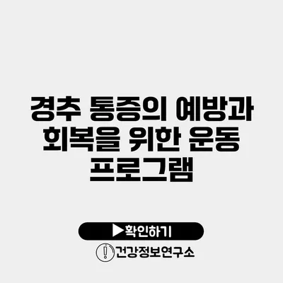 경추 통증의 예방과 회복을 위한 운동 프로그램