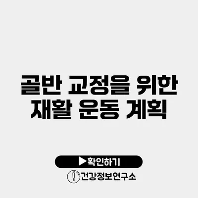 골반 교정을 위한 재활 운동 계획