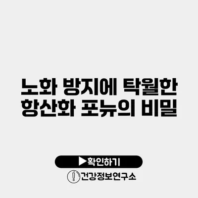 노화 방지에 탁월한 항산화 포뉴의 비밀