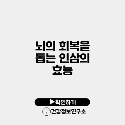 뇌의 회복을 돕는 인삼의 효능