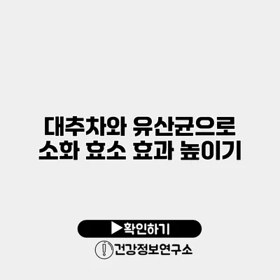 대추차와 유산균으로 소화 효소 효과 높이기