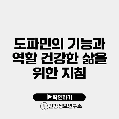도파민의 기능과 역할 건강한 삶을 위한 지침