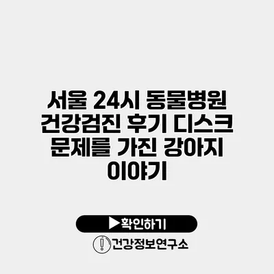 서울 24시 동물병원 건강검진 후기 디스크 문제를 가진 강아지 이야기