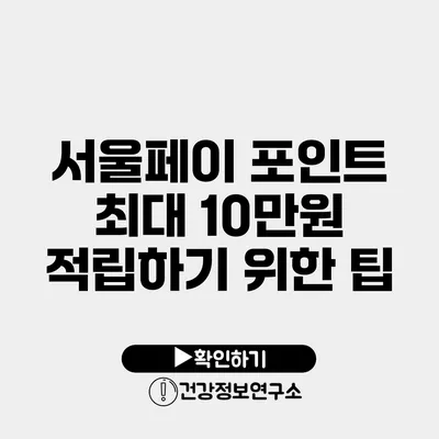 서울페이 포인트 최대 10만원 적립하기 위한 팁