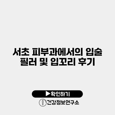 서초 피부과에서의 입술 필러 및 입꼬리 후기