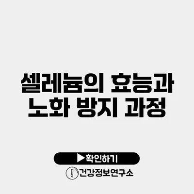 셀레늄의 효능과 노화 방지 과정