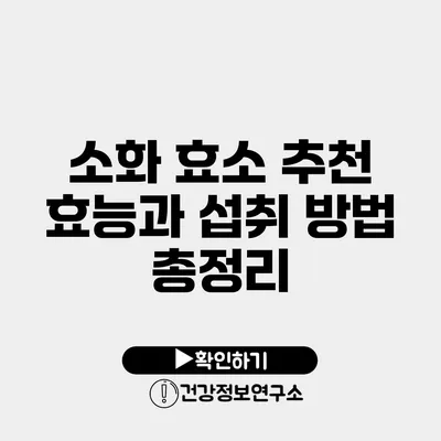 소화 효소 추천 효능과 섭취 방법 총정리