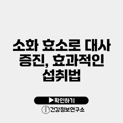 소화 효소로 대사 증진, 효과적인 섭취법