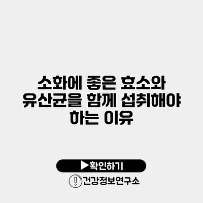소화에 좋은 효소와 유산균을 함께 섭취해야 하는 이유