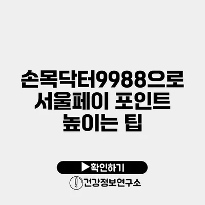 손목닥터9988으로 서울페이 포인트 높이는 팁