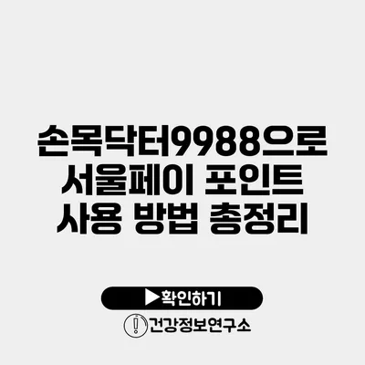 손목닥터9988으로 서울페이 포인트 사용 방법 총정리