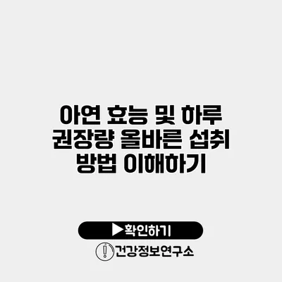 아연 효능 및 하루 권장량 올바른 섭취 방법 이해하기