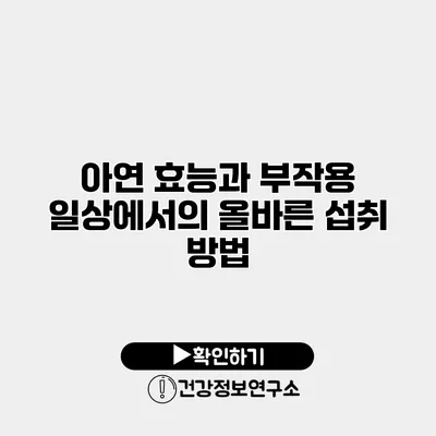 아연 효능과 부작용 일상에서의 올바른 섭취 방법