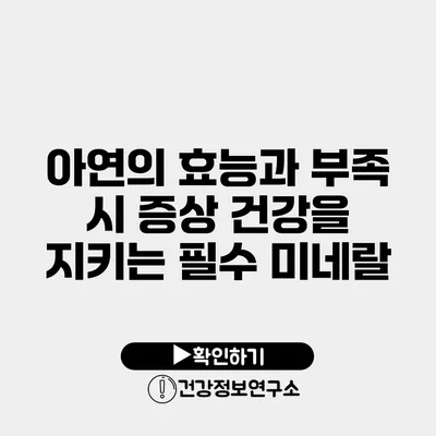 아연의 효능과 부족 시 증상 건강을 지키는 필수 미네랄