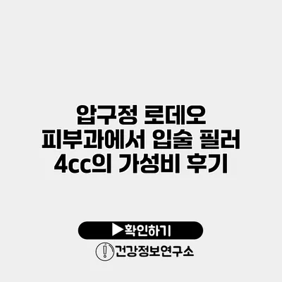 압구정 로데오 피부과에서 입술 필러 4cc의 가성비 후기