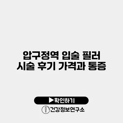 압구정역 입술 필러 시술 후기 가격과 통증