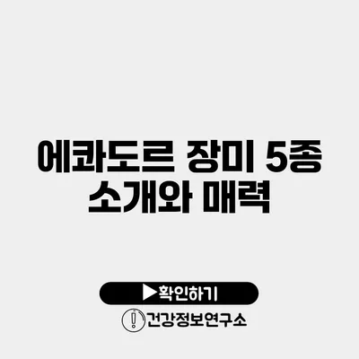 에콰도르 장미 5종 소개와 매력