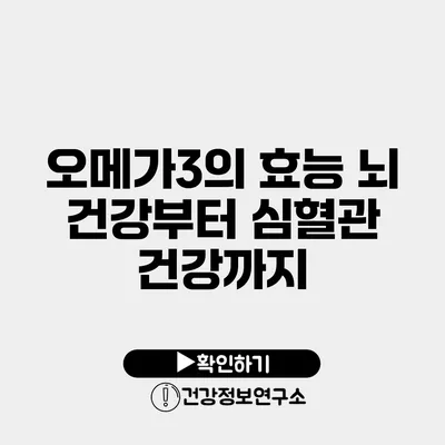 오메가3의 효능 뇌 건강부터 심혈관 건강까지