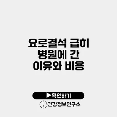 요로결석 급히 병원에 간 이유와 비용