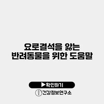 요로결석을 앓는 반려동물을 위한 도움말