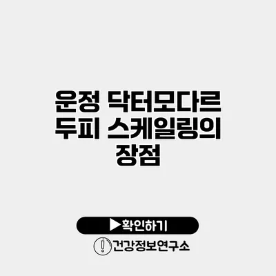 운정 닥터모다르 두피 스케일링의 장점