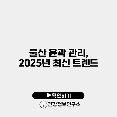 울산 윤곽 관리, 2025년 최신 트렌드
