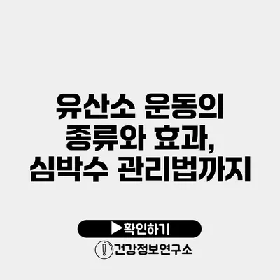 유산소 운동의 종류와 효과, 심박수 관리법까지