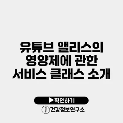 유튜브 앨리스의 영양제에 관한 서비스 클래스 소개