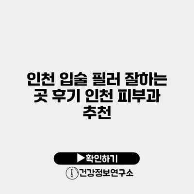 인천 입술 필러 잘하는 곳 후기 인천 피부과 추천