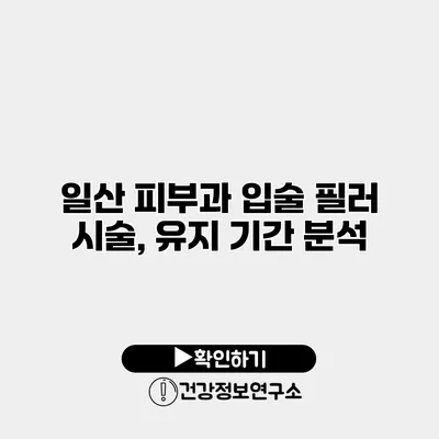 일산 피부과 입술 필러 시술, 유지 기간 분석