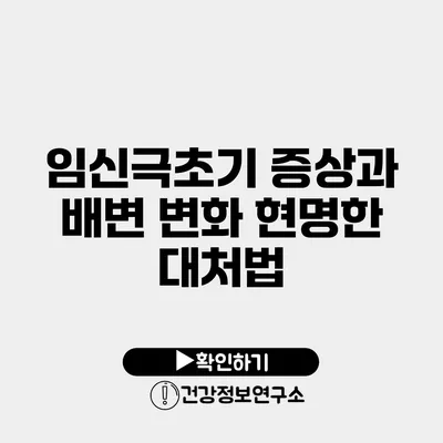 임신극초기 증상과 배변 변화 현명한 대처법