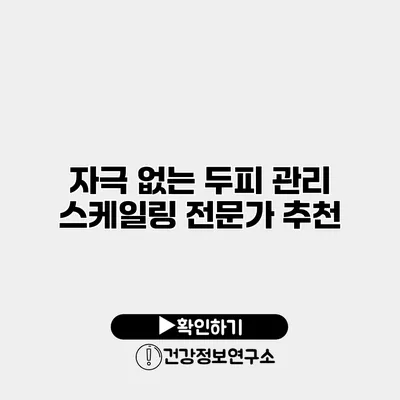 자극 없는 두피 관리 스케일링 전문가 추천