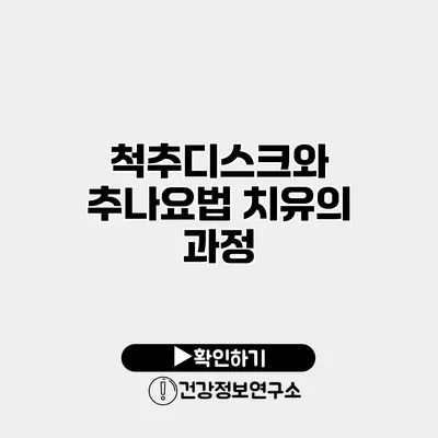척추디스크와 추나요법 치유의 과정