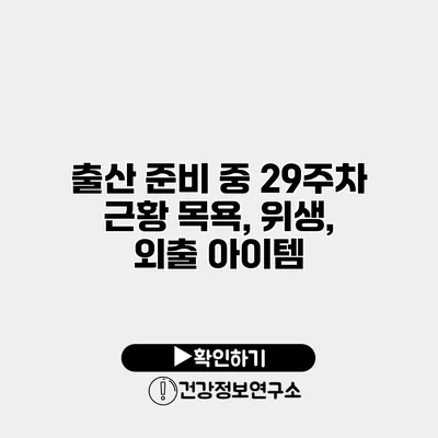 출산 준비 중 29주차 근황 목욕, 위생, 외출 아이템