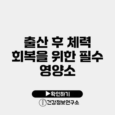 출산 후 체력 회복을 위한 필수 영양소