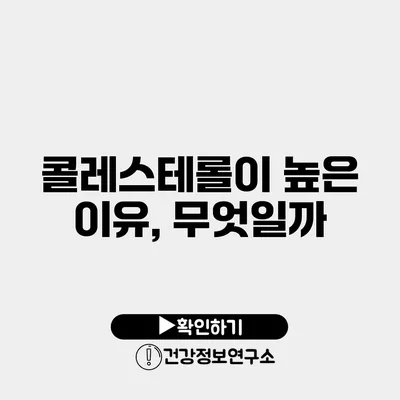 콜레스테롤이 높은 이유, 무엇일까?