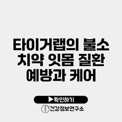 타이거랩의 불소 치약 잇몸 질환 예방과 케어