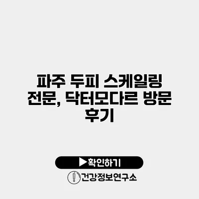 파주 두피 스케일링 전문, 닥터모다르 방문 후기