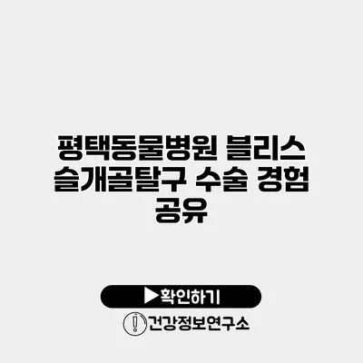 평택동물병원 블리스 슬개골탈구 수술 경험 공유