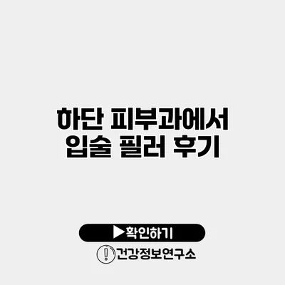 하단 피부과에서 입술 필러 후기