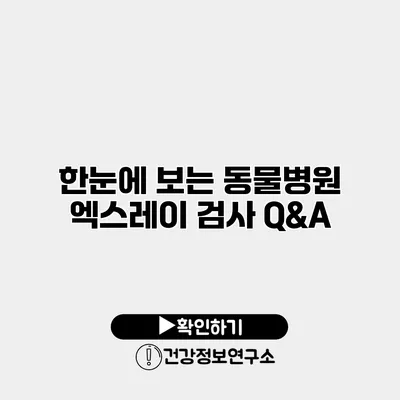 한눈에 보는 동물병원 엑스레이 검사 Q&A