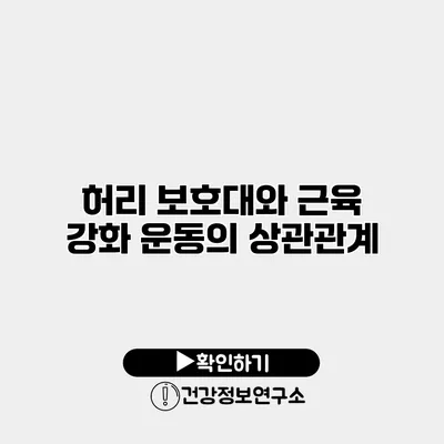 허리 보호대와 근육 강화 운동의 상관관계