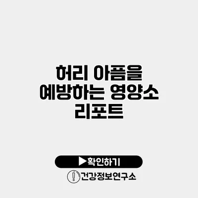 허리 아픔을 예방하는 영양소 리포트