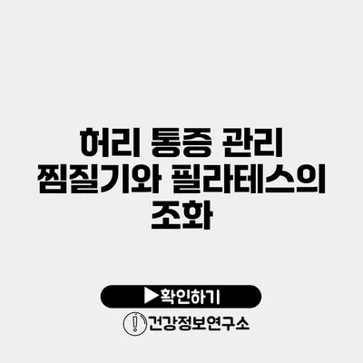 허리 통증 관리 찜질기와 필라테스의 조화