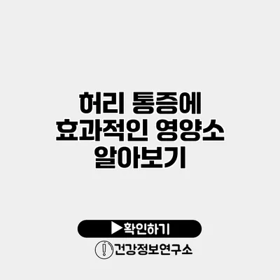 허리 통증에 효과적인 영양소 알아보기